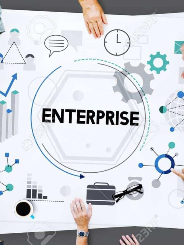 What Enterprise Software Development Companies Do?-Learn Here