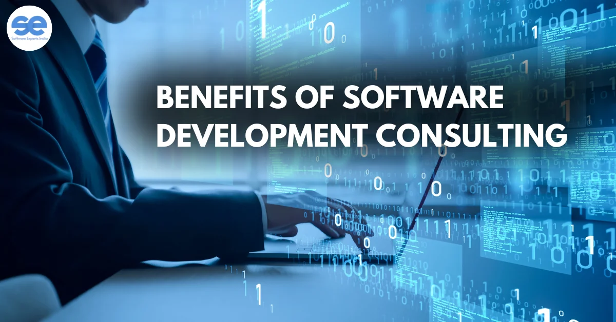 8 Key Benefits of Software Development Consulting