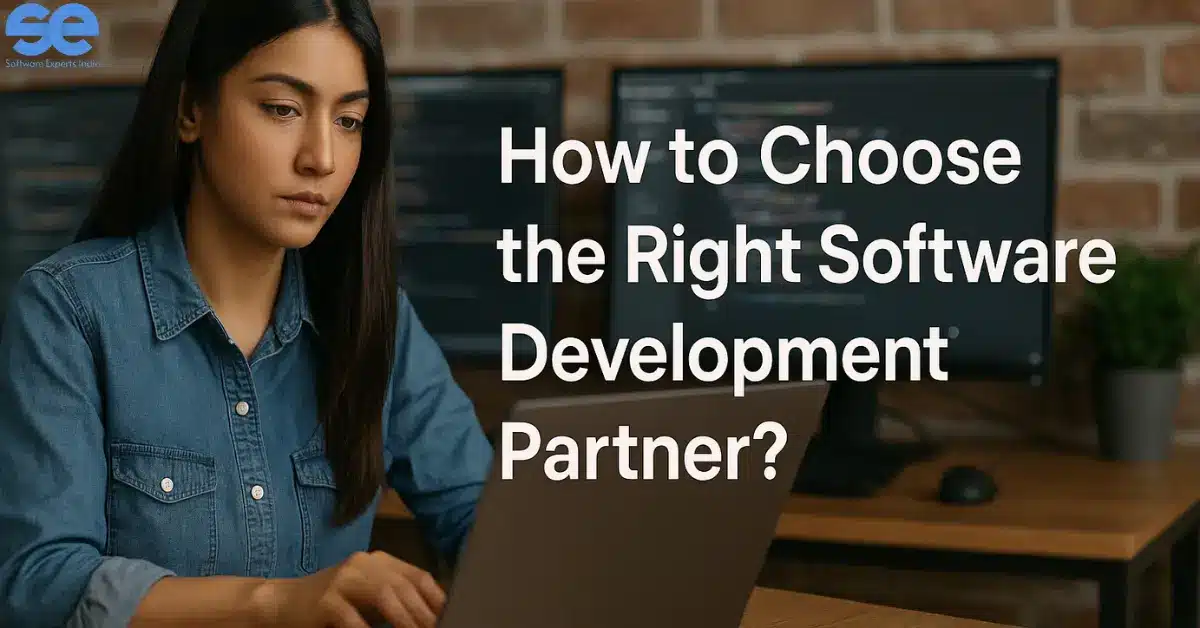 How to Choose the Right Software Development Partner