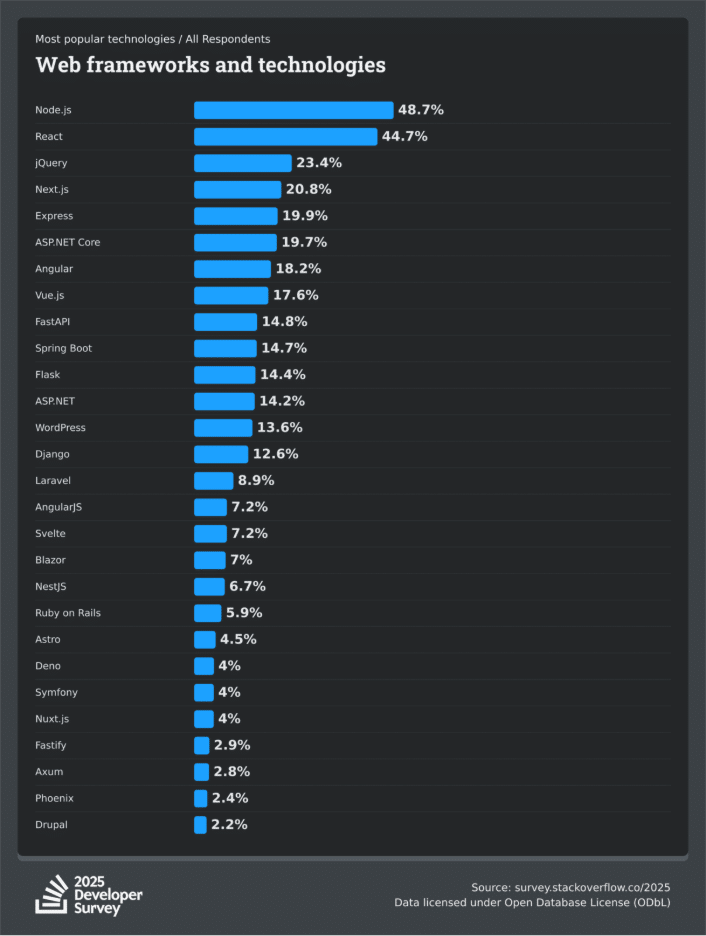 2025 developers survey